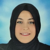 Haidi zedan